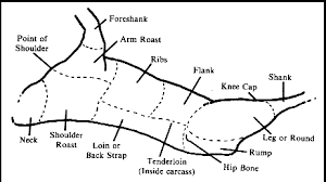 Site Map Fp