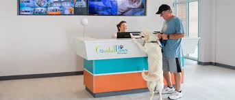 Rated 5.00 out of 5 based on 2 customer ratings. Check Into The Five Star Coastal Paws Pet Resort Doggie Daycare