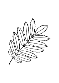 Home > d&d soundboard > i drink and i know. Download Summer Drink Svg Free Svg Summer Download Free Premium Svg File