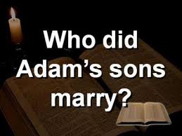 Who Did Adam S Sons Marry And Where Did Cain Get His Wife Read Bible Bible Answers Bible Knowledge