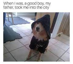Dogs (犬 inu?) are a type of villager species in the animal crossing series. Emo Night Brooklyn On Twitter Emo Dog Is Always A Good Boy
