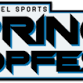 Spring Hoopfest event image