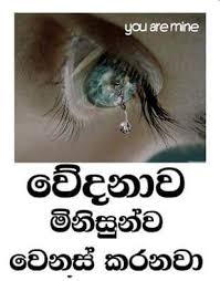 Check spelling or type a new query. Adara Wadan Dukbara Wadan Adara Wadan Dukbara Wadan