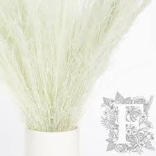 Image result for Agrostis products