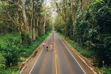Kauai Marathon