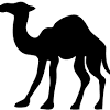 Cartoon camel cartoon camel cute character cartoon characters cartoon image adorable the amount of material symbol cartoons icon children funny animals sweet emblem lovely animal colorful element elephant giraffe lion woman stickers zebra labels boy dog fruit european and american style reindeer. 1