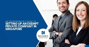 Exempt private companies were exempted from statutory auditing requirements if their annual turnover remains below s$5 million. An Entrepreneur S Guide To Setting Up An Exempt Private Company In Singapore