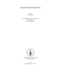 Sion of houghton mifflin company chapter 8 from dna to proteins vocabulary practice, continued d. Algorithmic Self Assembly Of Dna Center For Bits And Atoms