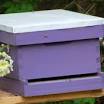 bee farming from backyardbeekeeping.iamcountryside.com