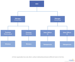 types of organizational charts organizational chart