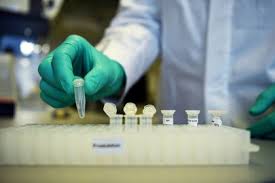 Una cepa que es más contagiosa, pero no inmune a vacunas. Mexico Aprobo La Fase 3 De La Vacuna Alemana Curevac Contra Covid 19 Infobae