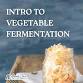 Intro to Vegetable Fermentation event image