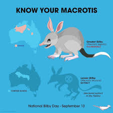 Peppermint Narwhal On Instagram Nationalbilbyday Macrotis Peppermintnarwhal Animal Infographic Animal Antics Australia Animals