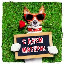 Чтобы правильно расти, надо маму завести. Pozdravleniya S Dnem Materi Kartinki Skachat Besplatno