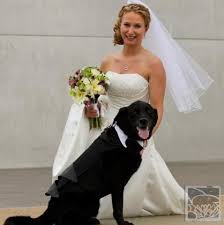 See more ideas about wedding bouquets, wedding, bridal bouquet. Wedding Flowers St Charles Lawrence Florist