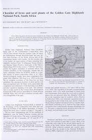 Image result for Trichoneura schlechteri