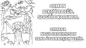 Boyama Kitaplari Ormanlar Boyama Sayfalari