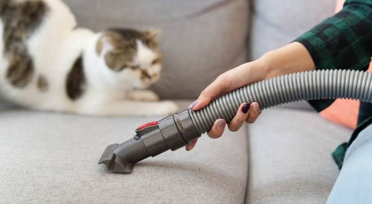 How to remove pet hair from your home