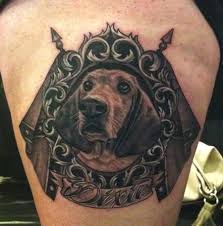Free major events for the ukc coonhound program. 300 Treeing Walker Coonhound Ideas Treeing Walker Coonhound Coonhound Walker Coonhound