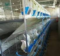 High Strength Anti-Rust Commercial Metal Rabbit Cages For Zimbabwe Farming