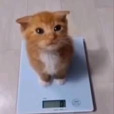 New Century, mixing style and comfort ✨