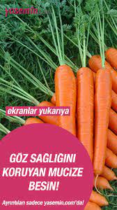 A Vitamini Hastalik Onleyici Besin Degerleri Sayesinde Saglik Acisindan Cok Onemli Bir Vitamindir Peki A Vitamini Hangi Besinlerde Havuc Saglikli Yasam Saglik