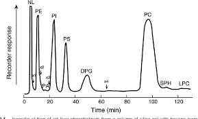 Gas Chromatography And Lipids A Practical Guide Semantic Scholar