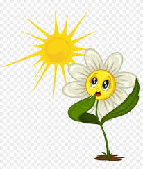 Browse our cartoon daisy flower images, graphics, and designs from +79.322 free vectors graphics. Cartoon Daisy Stickers For Different Situations Daisy Flower Cartoon Clip Art Png Download 3638318 Pikpng