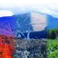 The Champlain Valley Fair