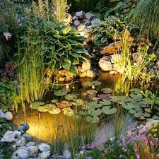Ideen für den kleinen garten>>. Gartenteich Anlegen Bepflanzen Und Pflegen Praktische Tipps Living At Home
