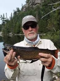 George Gray Obituary (1955