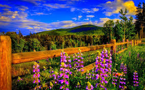 Full hd 1080p nature wallpapers desktop backgrounds hd pictures. Landscape Spring Wallpapers Wallpaper Cave