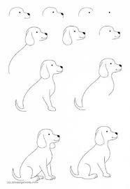 How To Draw Simple Animals Products 42 Ideas Easy Drawings Easy Animal Drawings Animal Drawings