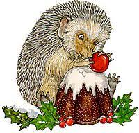 Author Jan Brett S Free Coloring Video And Activity Pages Jan Brett Free Coloring Christmas Illustration