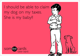 I Should Be Able To Claim My Dog On My Taxes It S My Baby Dog Love Dogs Dog Quotes