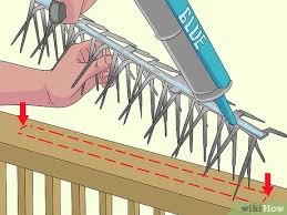 No matter how beautiful birds are, they can cause damage to your home when allowed to nest on your porch. Simple Ways To Keep Birds Off Your Porch 9 Steps With Pictures