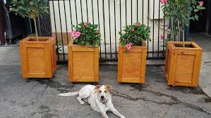 Rustic Revival Customs