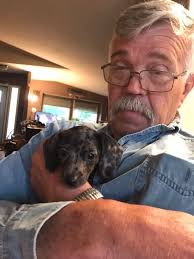 Is she a miniature daschund or a different breed?