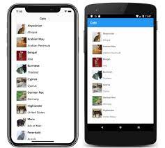 A basic app can be quickly created using the xamarin shell. Xamarin Forms Shellregisterkarten Xamarin Microsoft Docs