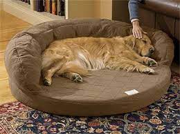 While it may seem like an obvious requirement to some people, there are actually many occasions where dog owners do not think of dog beds as being a. Just Found This Orthopedic Dog Beds Super Absorbent Bolster Dog Bed With Memory Foam Orvis On Orvis Com Designer Dog Beds Dog Bed Orthopedic Dog Bed