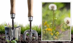 Tool to remove weeds between pavers. Gardening Expert Shares Best Method To Remove Unsightly Weeds From Gardens Express Co Uk