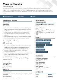 Professional Resume