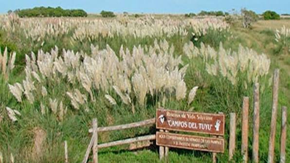 Parque Nacional Campos del Tuyú | Agroempresario.com