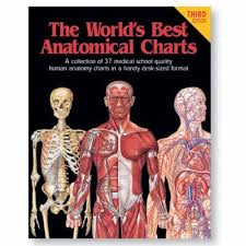 9780960373055 the worlds best anatomical charts a