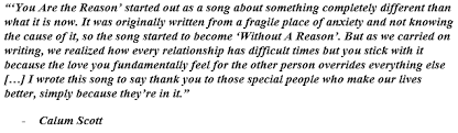 Meaning Of You Are The Reason By Calum Scott Song Meanings And Facts