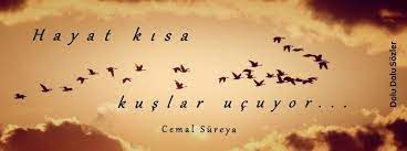 hayat kisa kuslar ucuyor cemal sureya hayat guzel soz duygular