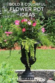 How to take care of flowers in a pot. 8 Bold And Colorful Flower Pot Ideas Care Tips Flower Planters Flower Pots Beautiful Flowers Garden