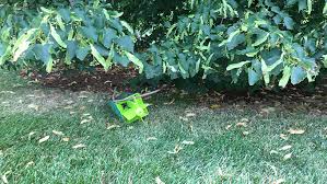 Japanese beetle trap shares a key feature with our top three choices—a dual lure system that lasts all season and covers the same square footage. Japanese Beetle Control Traps Nebraska Extension In Lancaster County