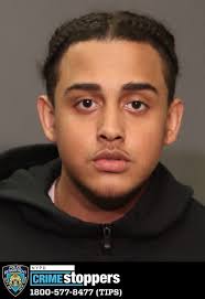 Wanted suspects ID'd in Bronx park shooting that left brothers wounded