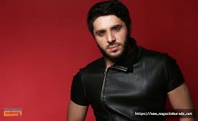 Petersburg's junior team in a playoff the junior hockey league said faizutdinov died tuesday after doctors fought for timur's life over. Tsdvsivm Zwbom